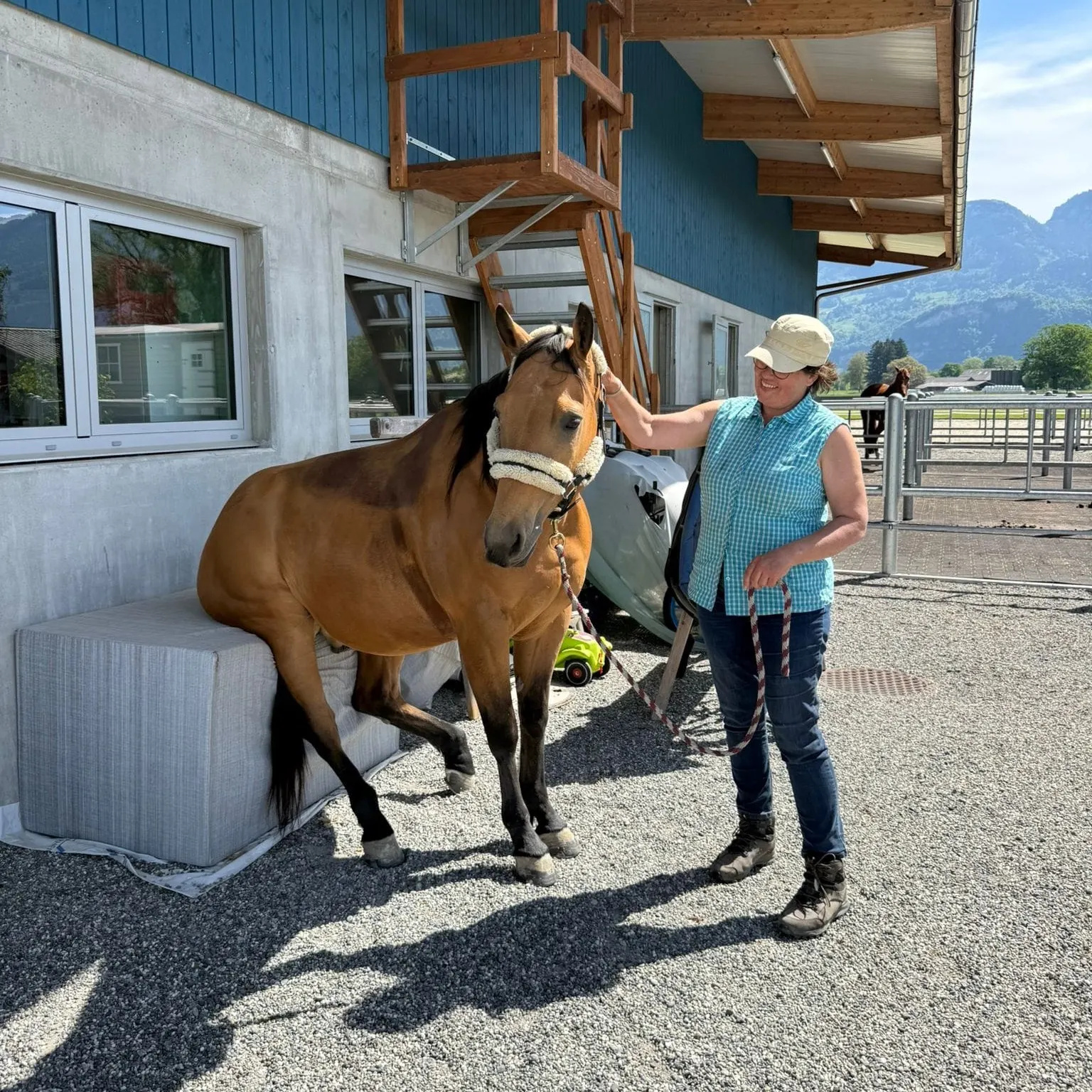 Frau und Pferd vor dem Stall, das Pferd stützt sich mit einem Vorderbein auf eine Sitzbank